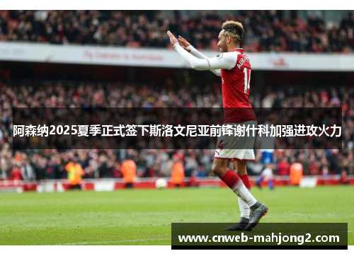 阿森纳2025夏季正式签下斯洛文尼亚前锋谢什科加强进攻火力 阿森纳2025夏季正式签下斯洛文尼亚前锋谢什科加强进攻火力